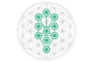 Flower Of Life: What You Must Know To Support Genuine Spiritual Growth